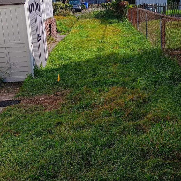 Additional Photos