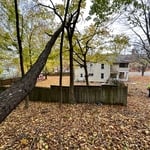 Tree Service Project