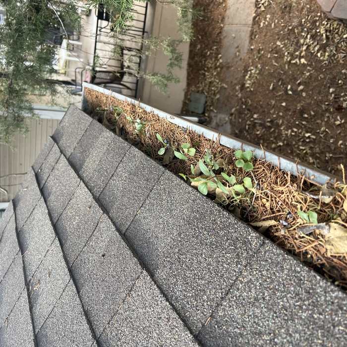 Window Cleaning Project