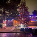 Holiday Lights