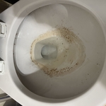 House Cleaning Project