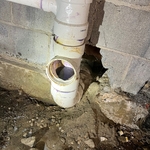 Clean out under house, crawlspace decent size head room.