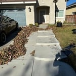Leaf / Lawn Maintenance