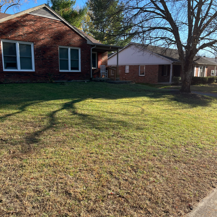 Yard cleanup