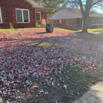 Yard cleanup