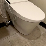 Miscellaneous Plumbing work
