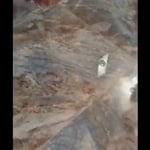 Ceramic tile