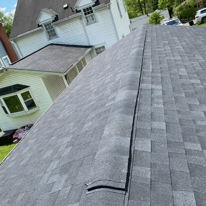 Roofing Project