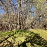 Fencing