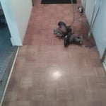 Pergo floor
