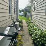 Picture of grass and plants prior to beginning work.