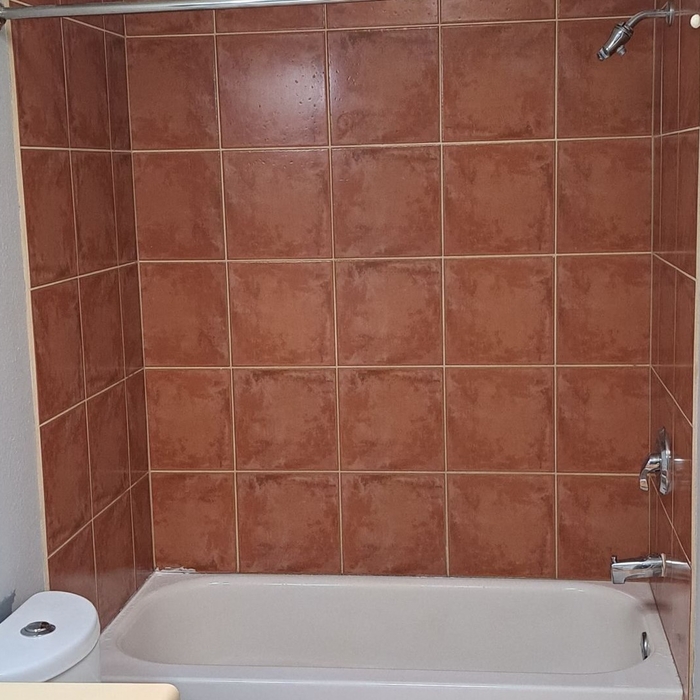 Tub Shower Converted to Walk in