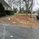 Landscaping Project