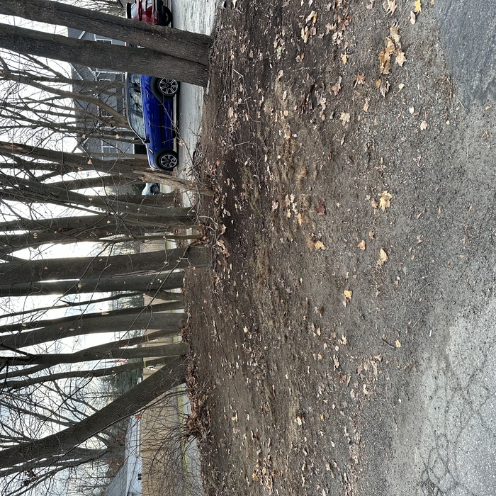 Landscaping Project