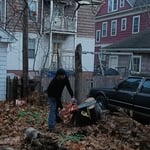 Tree Removal and Junk car removal