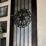 Hotchkinson Residence Screen Door