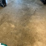 Carpet Cleaning Project