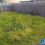 Landscaping Project