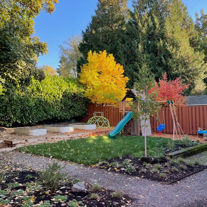 This garden has distinct spaces for the whole family to enjoy. A play area for kids and 3 veggie beds for fresh fruit and vegetables.