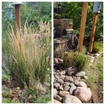 Lawn & Yard Work Project
