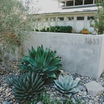 Eco Modern