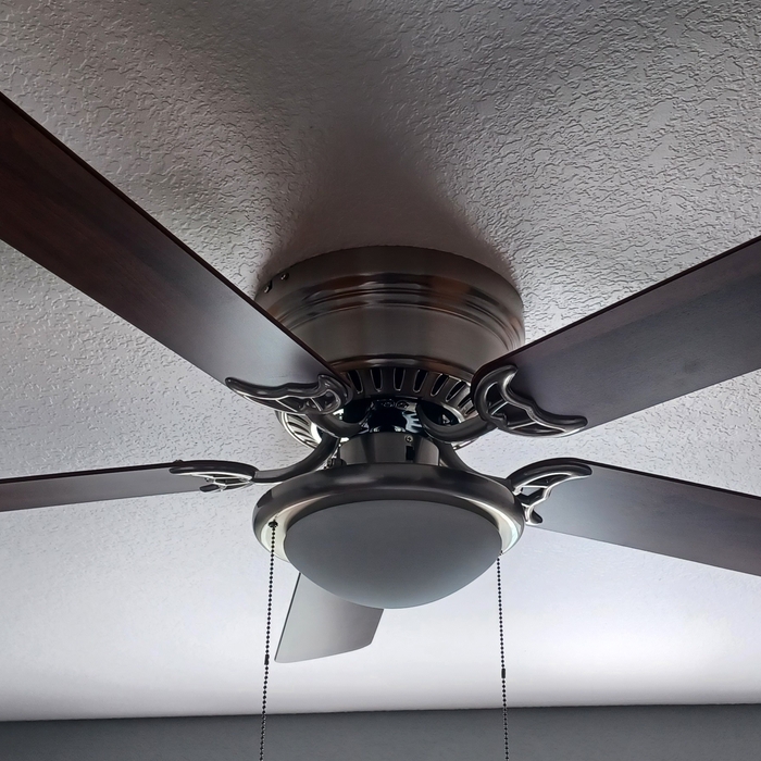 New fan