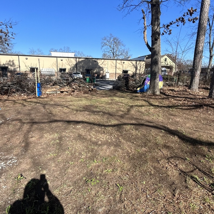Tree removal leaf cleanup
