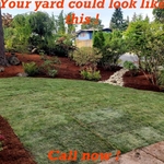 Landscape Renovation.