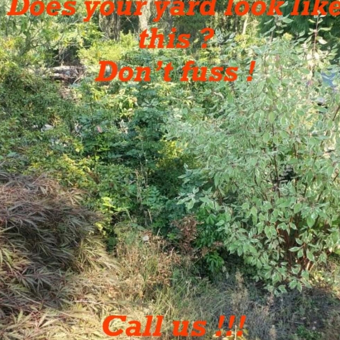 Landscape Renovation.