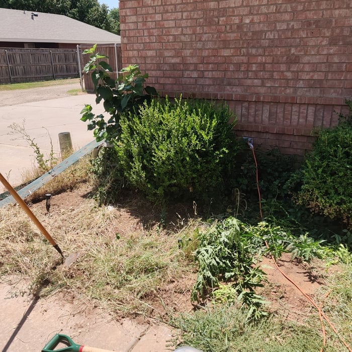 Additional Photos