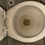 Housecleaning Project