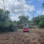 Land clearing