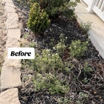 Landscaping Project