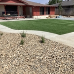 New rocks, plants, and artificial grass