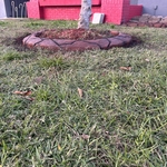 Concrete - Stamped & Decorative Project