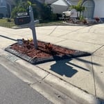 Concrete - Stamped & Decorative Project