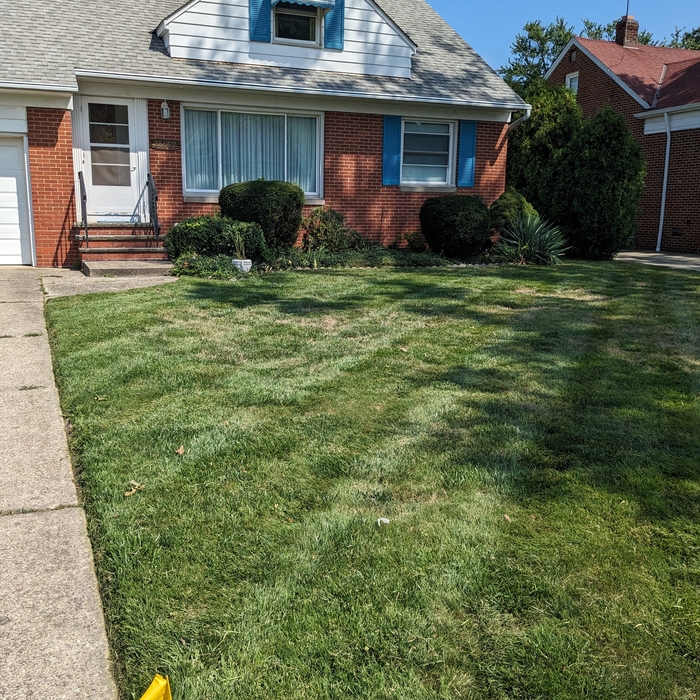 Additional Photos