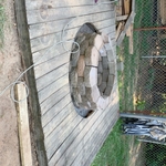 Landscaping Project