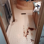 Bathroom flooring