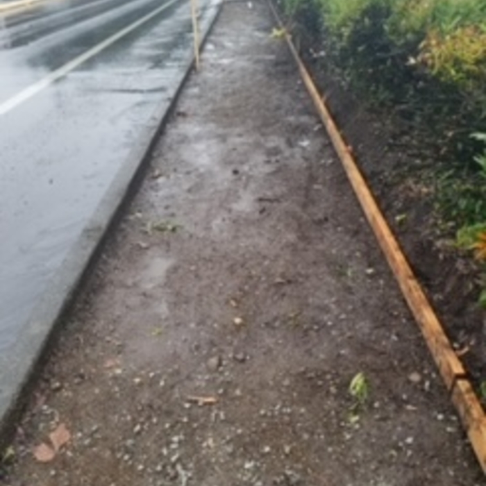Vancouver City Sidewalks
