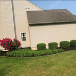 landscape job shrubs cleaned up bed edge and mulched