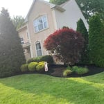 landscape job shrubs cleaned up bed edge and mulched