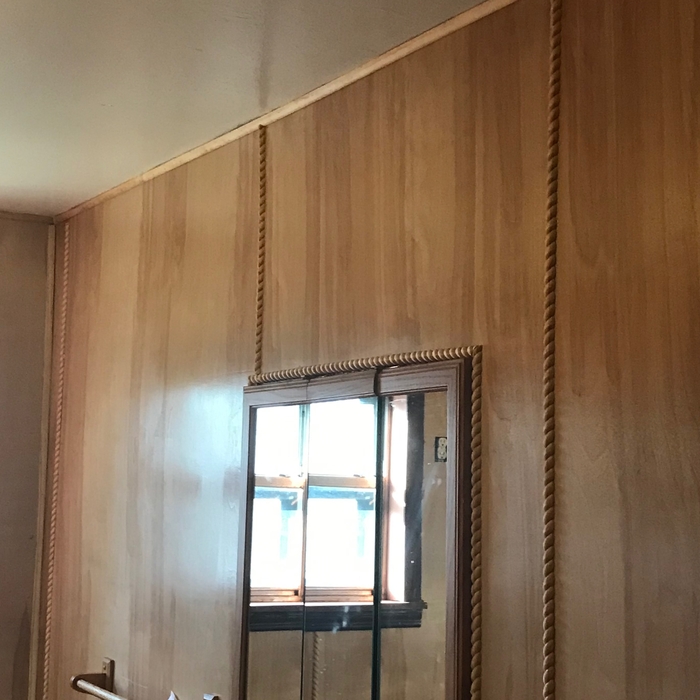 Bathroom paneling and painted ceiling