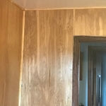 Bathroom paneling and painted ceiling