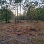 Finished Property
