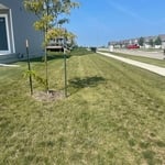 Landscaping Project
