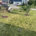 Landscaping Project