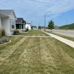 Landscaping Project