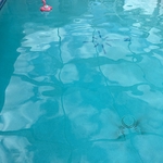 Green pool