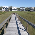 Landscaping Project